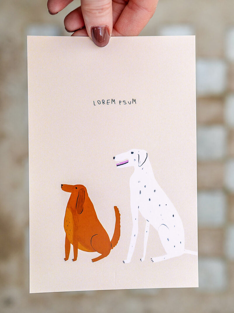 pohlednice / Lorem psum